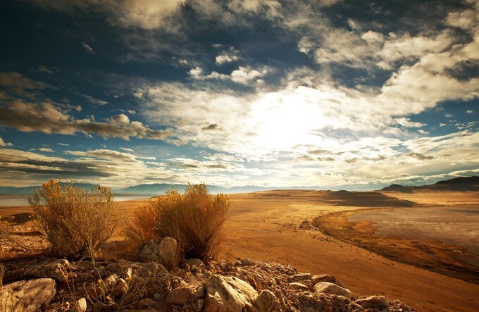 Prairie landscapes